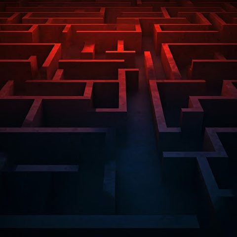 the limits of education freedom
