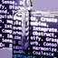 Reality-Shaped but Not Real: Exploring Chatbot Trust and Ethical Challenges